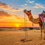 Rajasthan Tour Guide: Best Places to Visit, Travel Tips & Itinerary