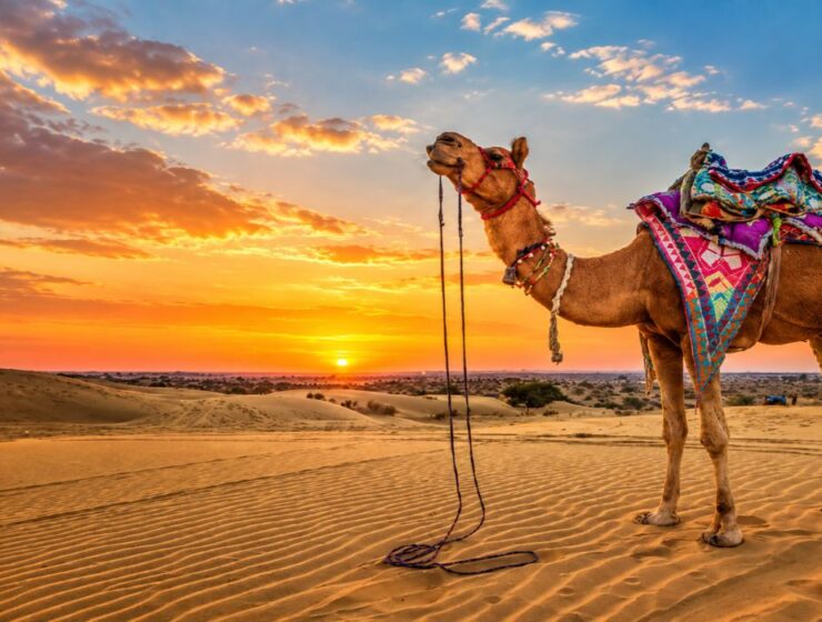 Rajasthan Tour Guide: Best Places to Visit, Travel Tips & Itinerary