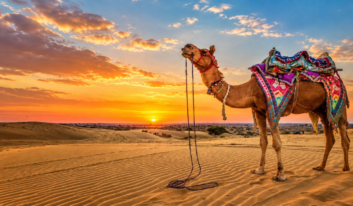 Rajasthan Tour Guide: Best Places to Visit, Travel Tips & Itinerary