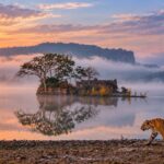 What Animals Can You See in Ranthambore National Park? A Wildlife Guide